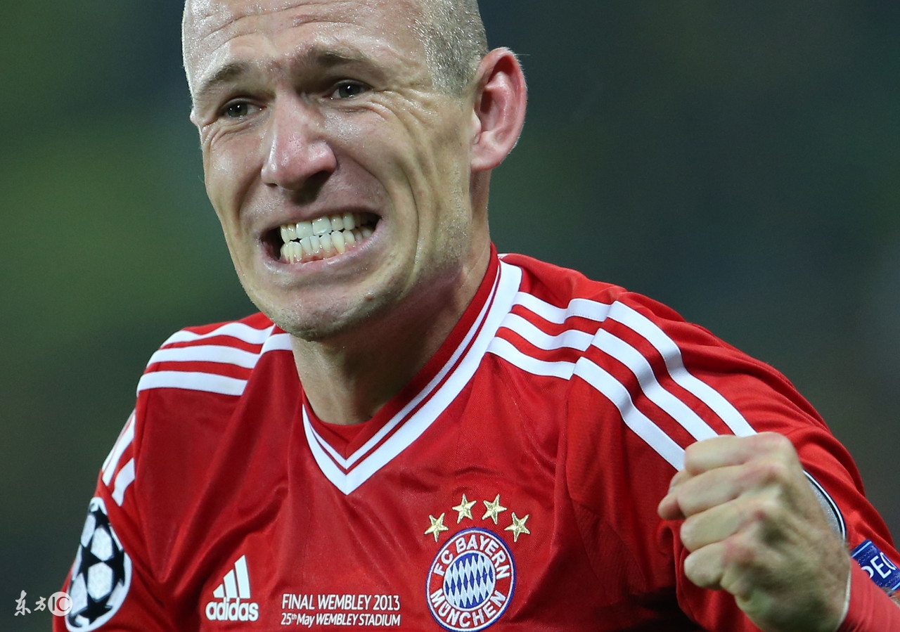 阿尔杰·罗本介绍,阿尔杰罗本