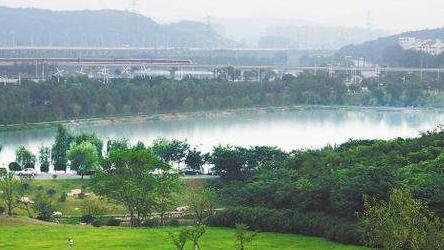 仙林最美的地方,南京仙林附近有好风景的地方吗