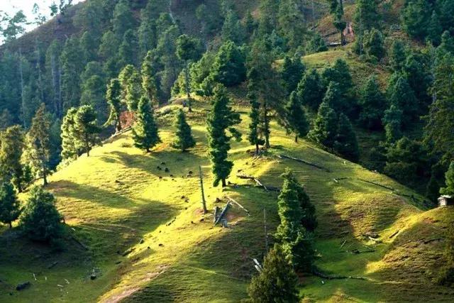 大美徐州云龙公园,大美云龙摄影作品