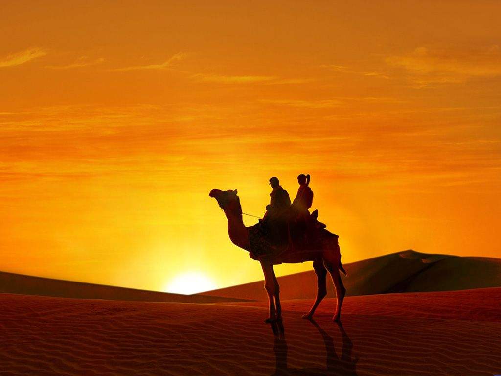 定制旅行方案,定制旅游的基本问题有几个