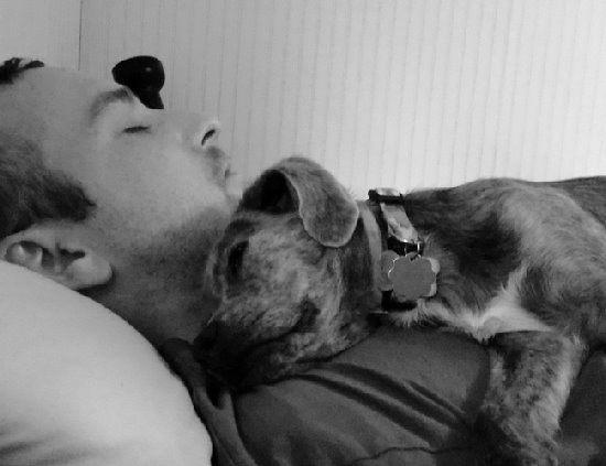 为什么要用领养代替购买、一定要了解的几大理由!