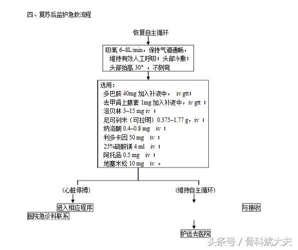 急救药物速记视频,急救药品速记技巧作用