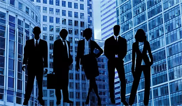 金晨解读,金晨干货