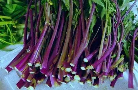 大农业今天行情,大农圈新闻