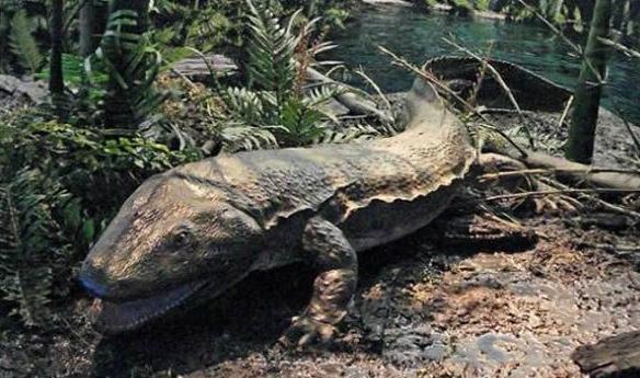 蓝藻是在地球初期什么时候形成的,地球第一个生命体蓝藻