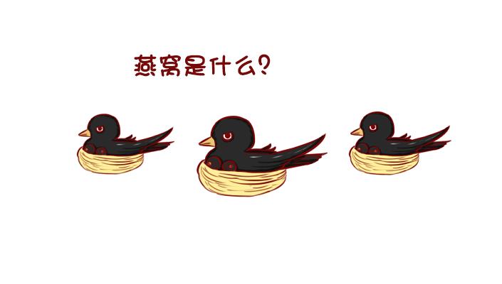 孕期吃的营养品燕窝,孕期吃燕窝最佳时期