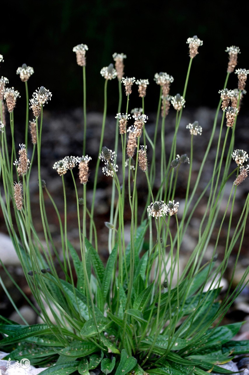教你一招解决小孩尿床的方法,6-12岁儿童尿床妙招