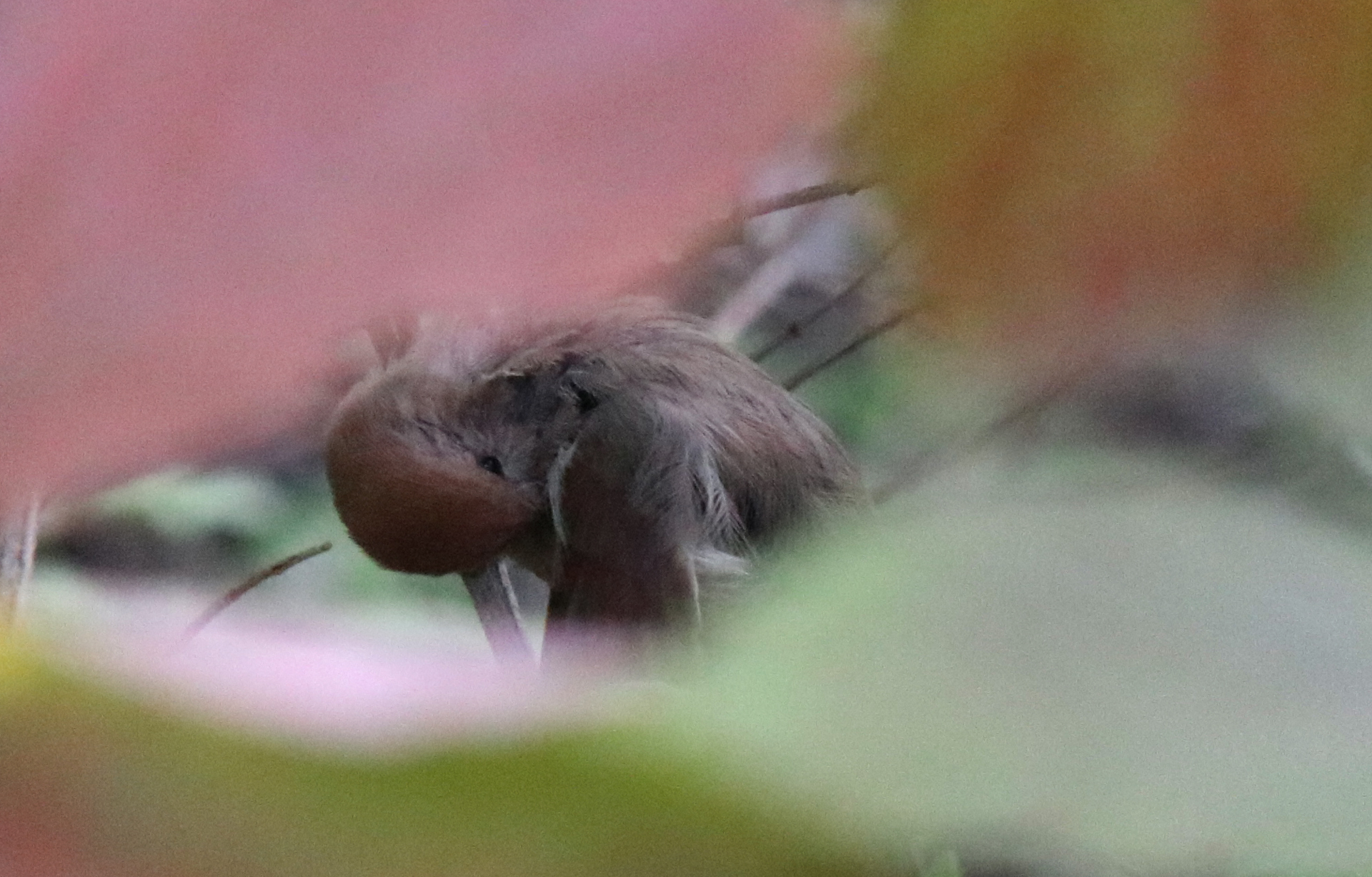 佳能eosm6二代拍照指南,佳能m6二代拍摄作品欣赏