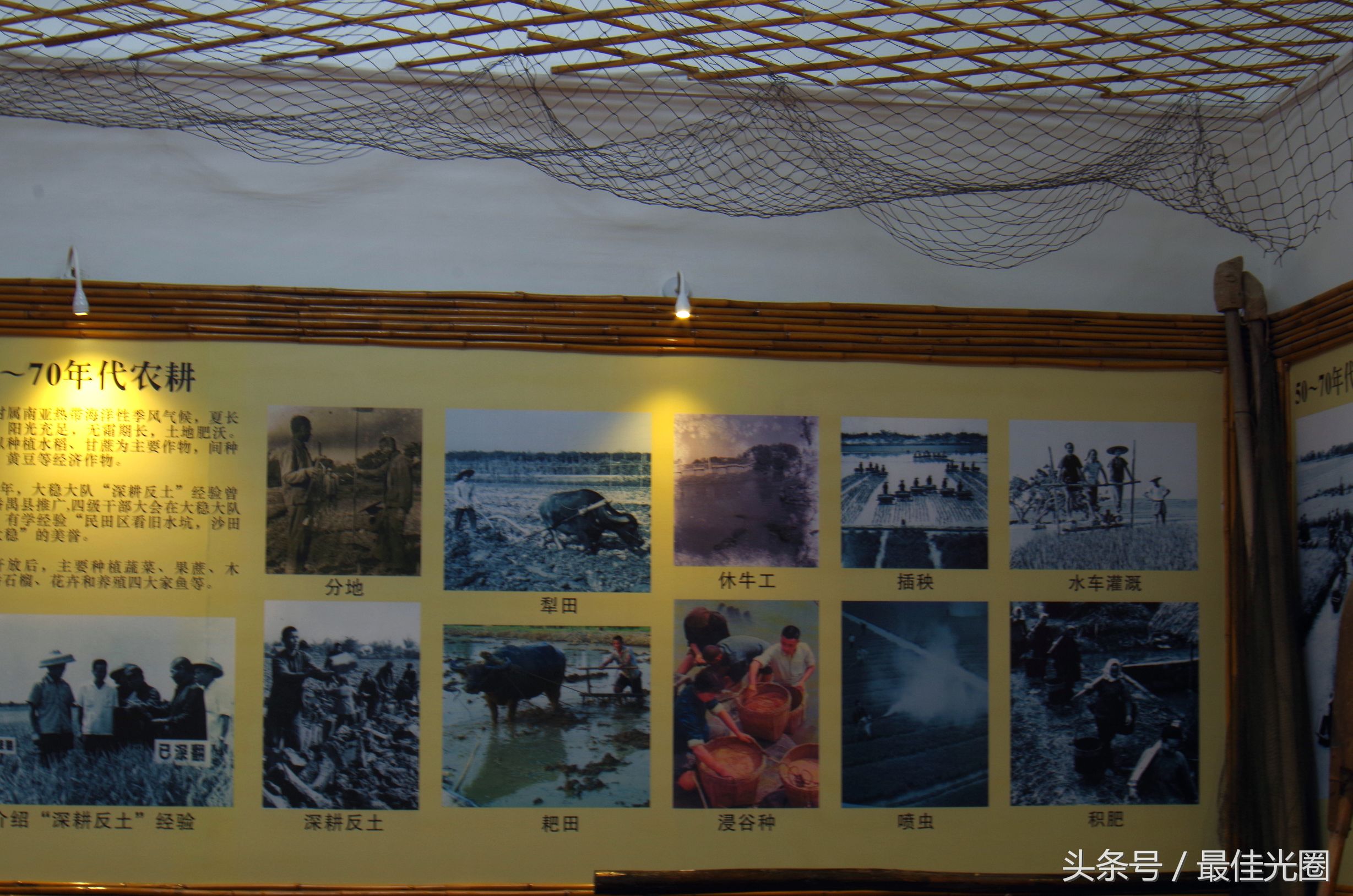 东涌绿道长廊有水玩吗,东涌绿道在哪里