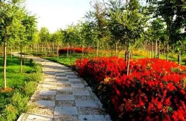 高邑处理结果的通报,高邑今年三奖一补还有吗