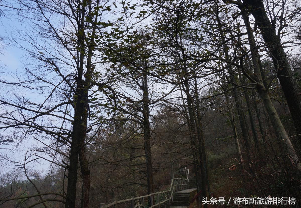 景点美景打卡宁波,宁波十大免费旅游景点四明山