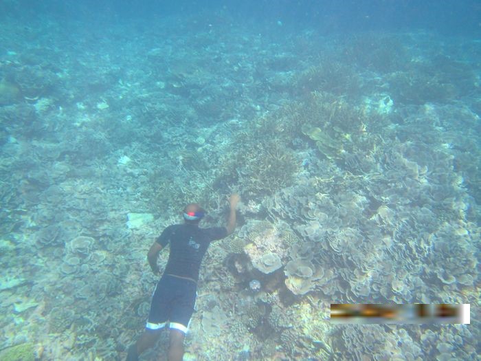 马尔代夫豪华蜜月游,马尔代夫六星级