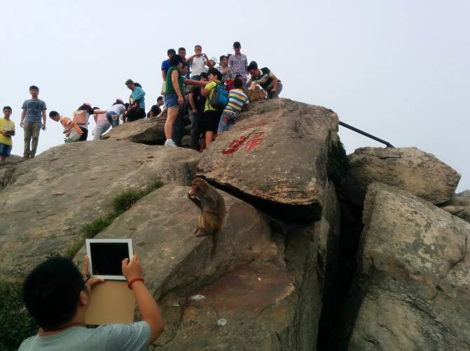 花果山游记400字以上,连云港花果山攻略