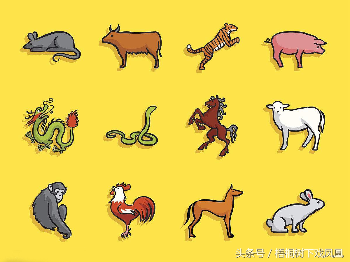 怎样知道夫妻关系是否不合,男女结婚一定要符合阴阳相配规律