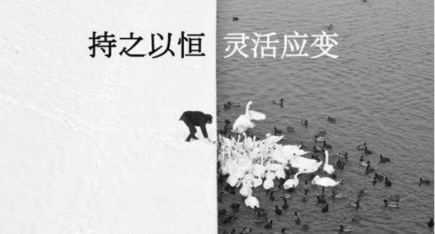 爆品到底是赚钱还是不赚钱,爆品骗局