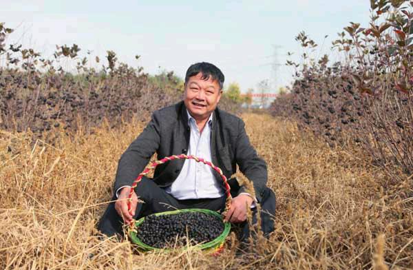 养猪状元陈世富,养猪暴发户的5个秘密