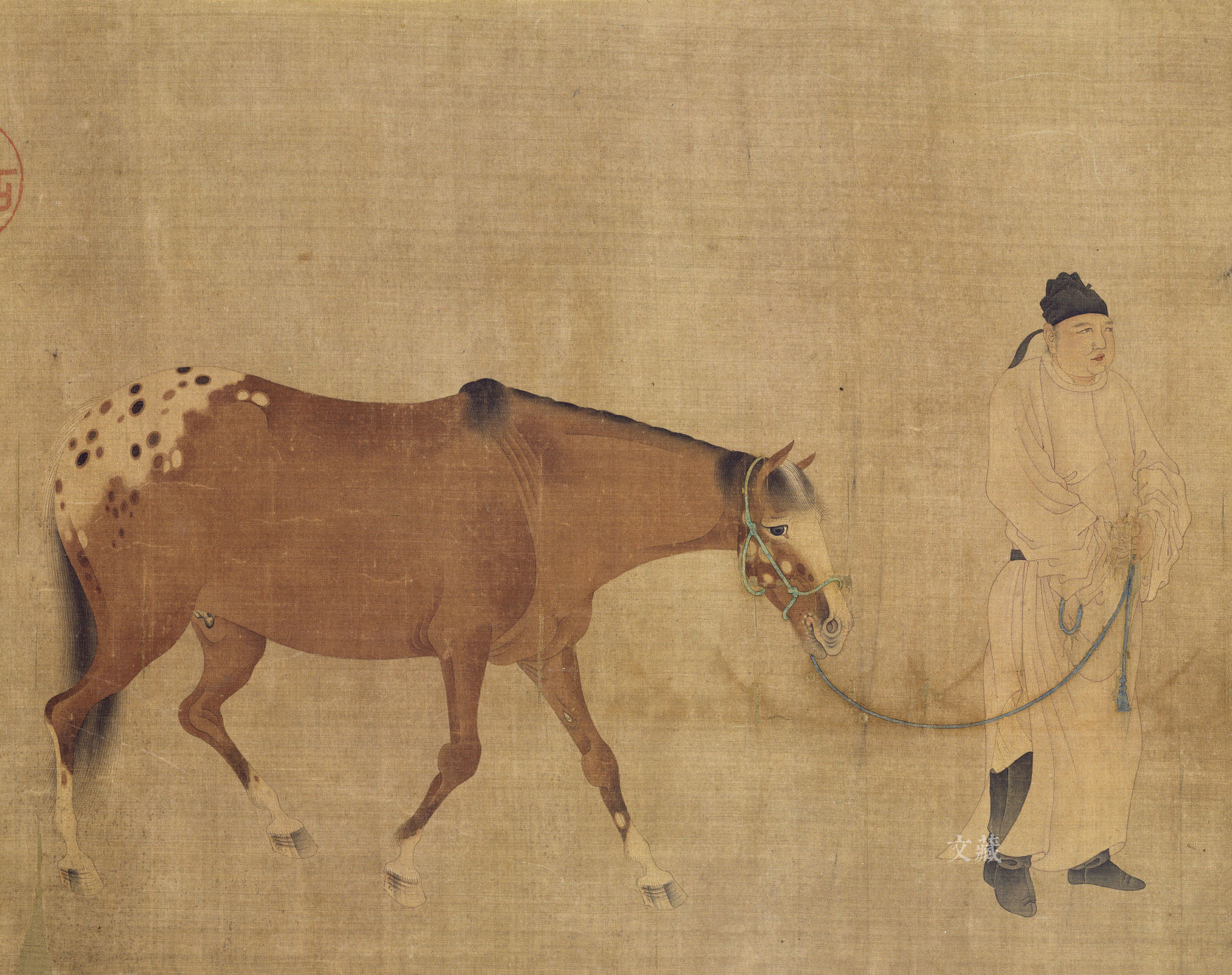 马进化,马进化了多少年