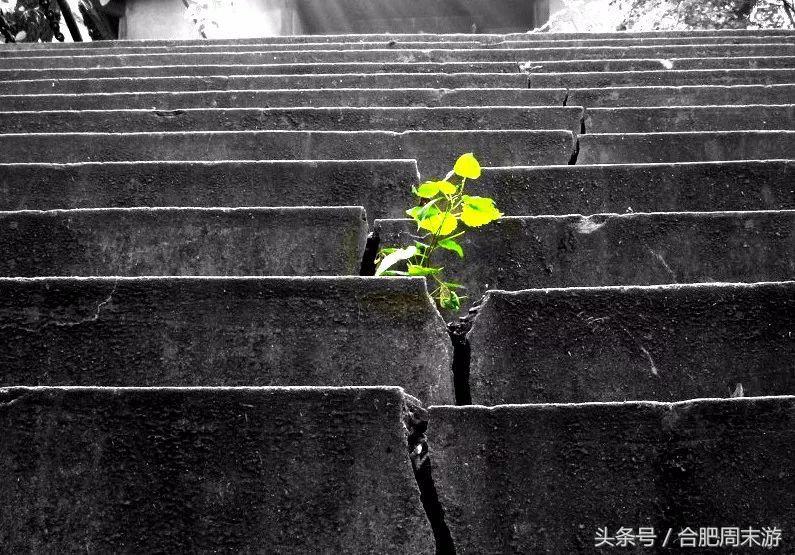 2022浜斾竴鍚堣偉鍏嶈垂鏅尯,鍚堣偉鍏嶈垂鐜╂櫙鍖哄叏鍚嶅崟