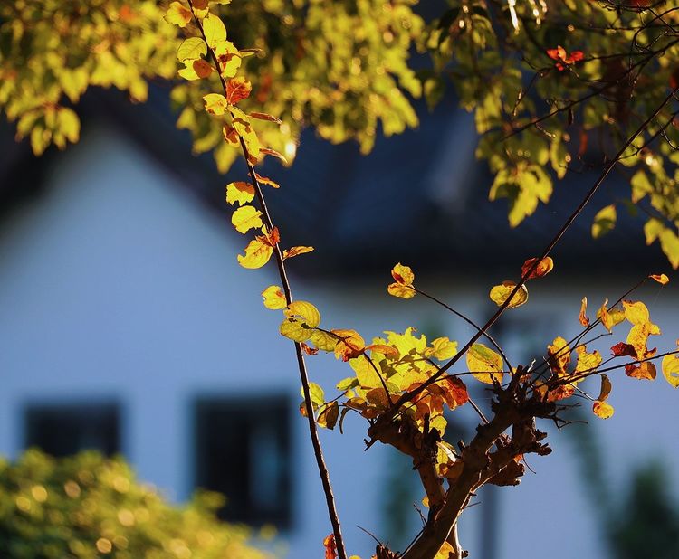 去东湖逛一圈,夏天去东湖哪个景区好玩