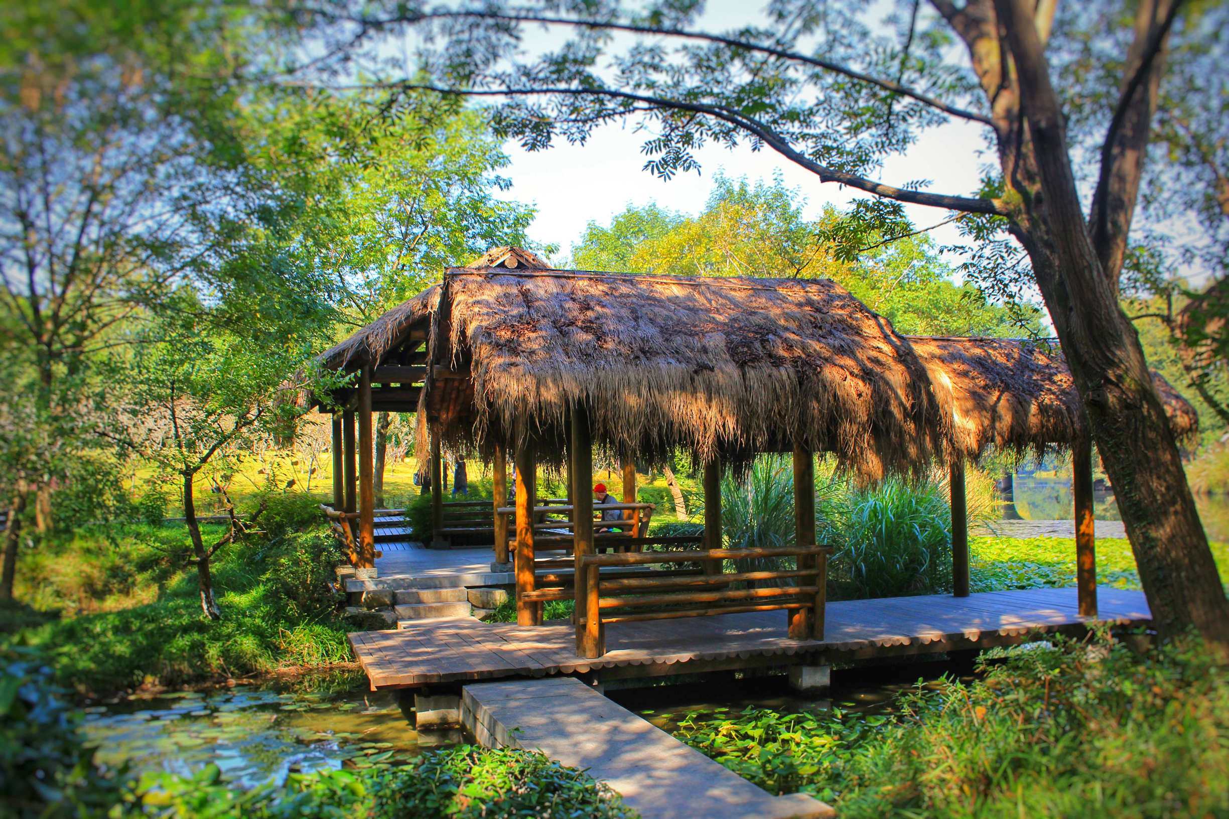 罗莱夏朵杭州紫萱度假村招聘,罗莱夏朵杭州紫萱度假村团购