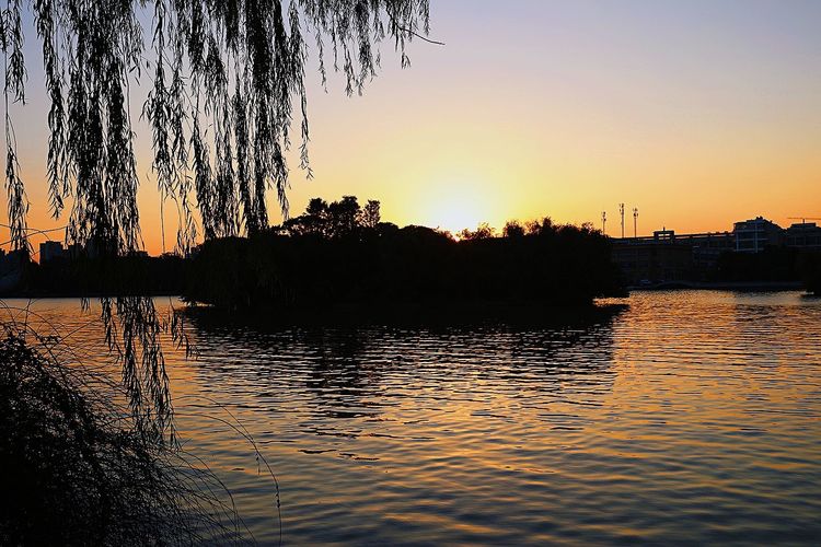 去东湖逛一圈,夏天去东湖哪个景区好玩