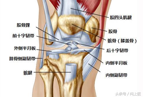 高中生膝盖疼痛的原因和解决方法,膝盖内侧靠下位置疼痛是什么原因