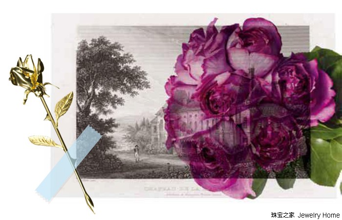 你问我答的问题大全,伯爵冷知识大全