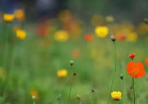 邪淫何以如此折福损寿看后让你心服口服！