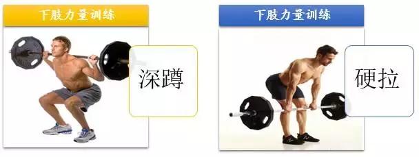 新手跑者腿部力量训练,跑后力量训练