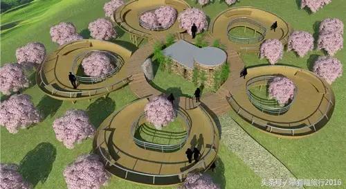 四明山该去哪,四明山观景台晚上能看风景吗