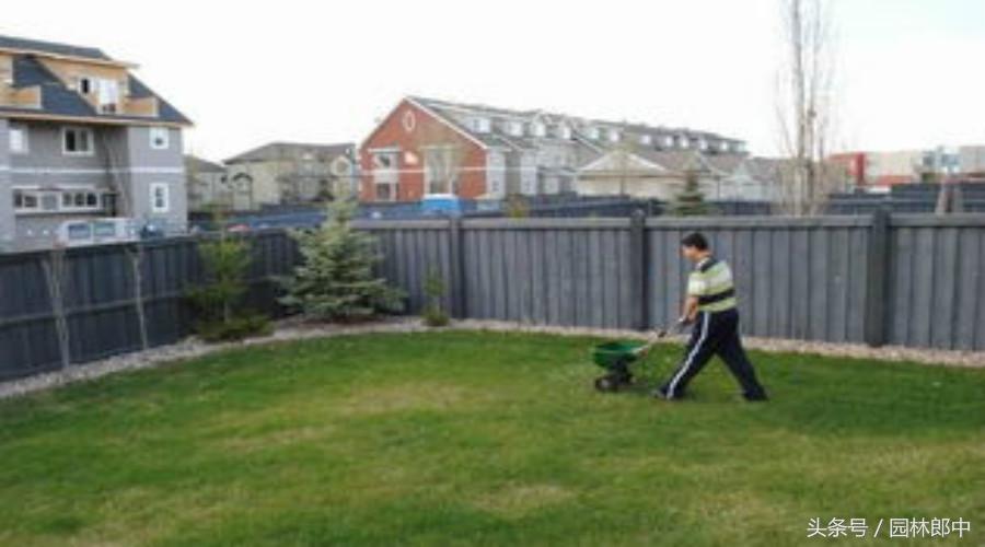 草坪秋季施肥的最佳种类,秋季草坪如何管理