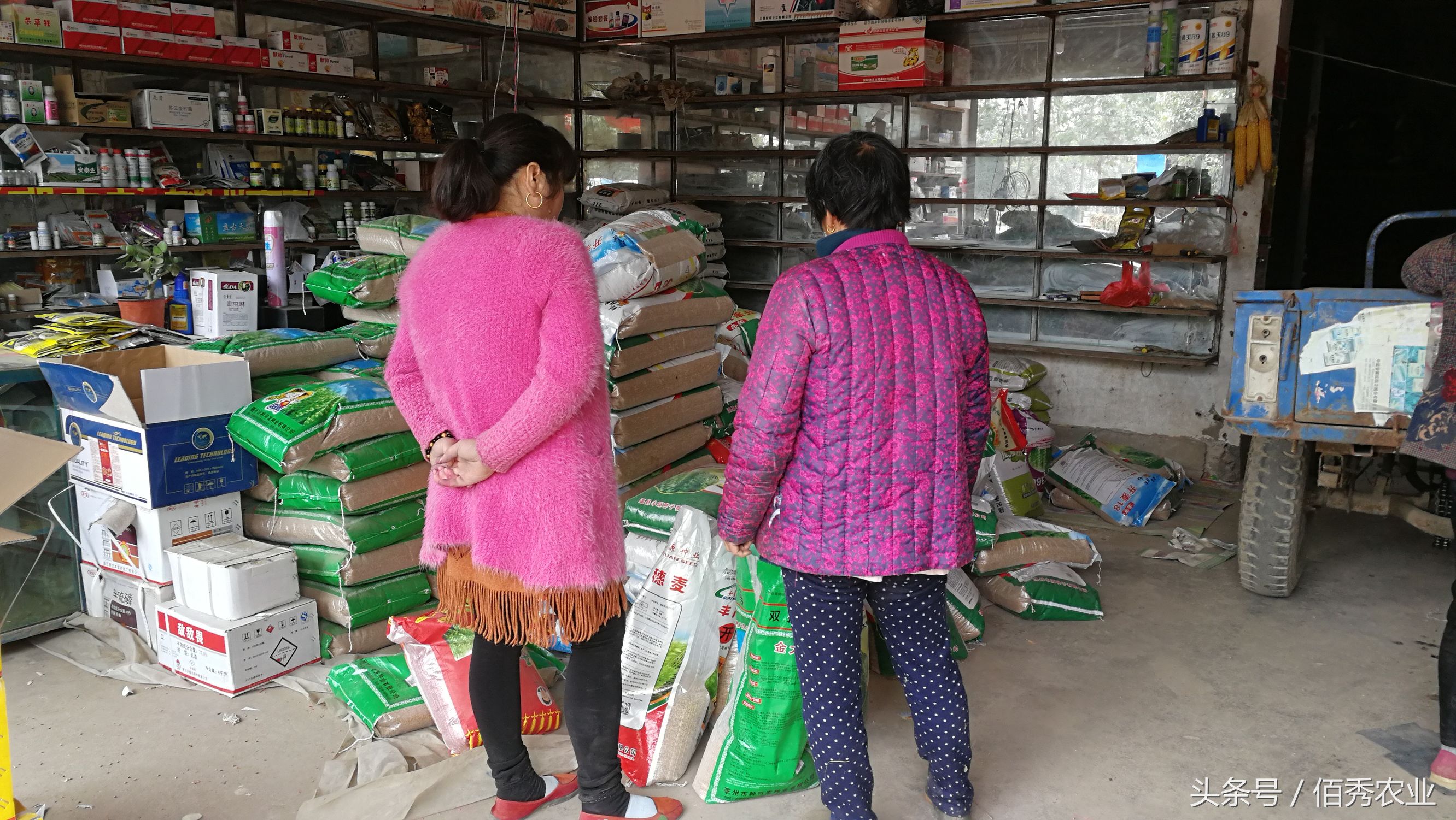 农村比较挣钱的小生意,农村暴利小生意有哪些