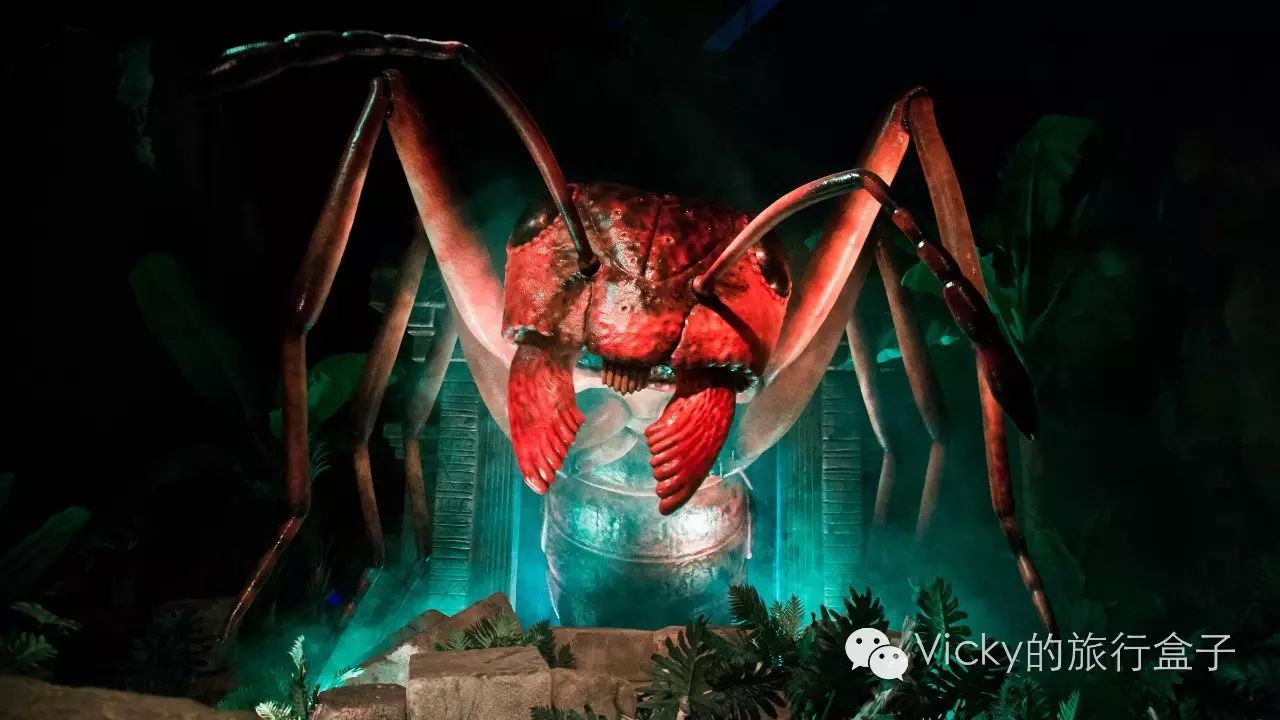 要说万圣节哪家强?这里可是连许巍都被吸引来一起“鬼”混了!