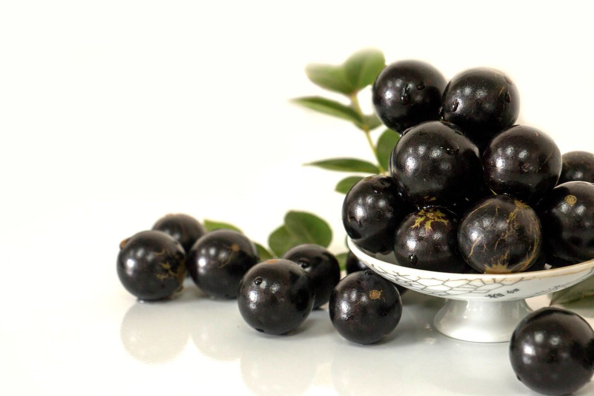 有钱也不一定吃到的4种水果,四种有钱难买的水果