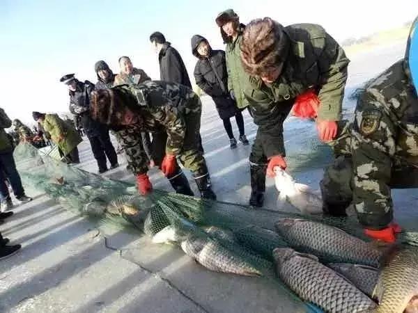 巴彦淖尔攻略,巴彦淖尔市内游玩攻略免费