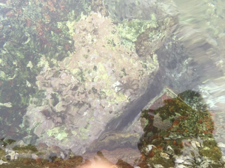 亲子三亚游,什么标题都不如这句话!