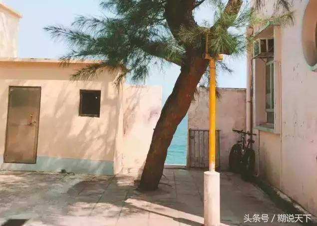 从南京坐高铁去香港大约多少钱,南京坐高铁到拉萨多少钱