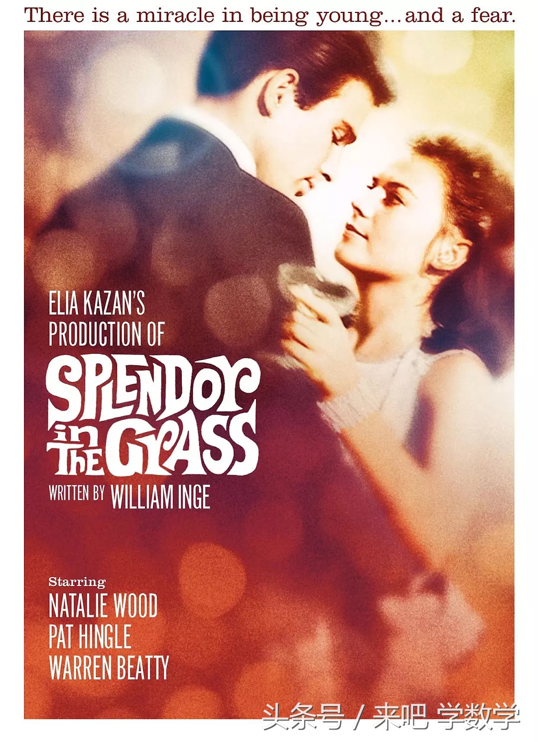 一位数学家的经历,著名数学家的故事