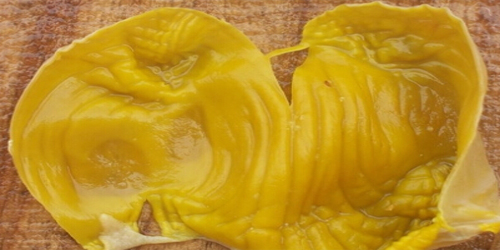 鸡内金大人吃有什么作用与功效,加工鸡内金的作用与功效