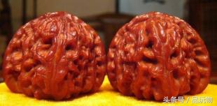 推荐白狮子头,白狮子核桃和四座楼狮子头哪个好