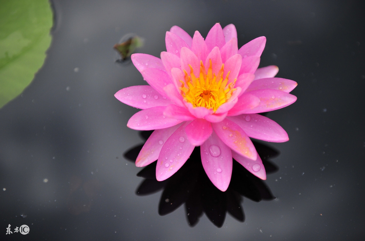 孕妇最近总梦到宝宝出生了,孕妇梦到小孩出生了是什么征兆