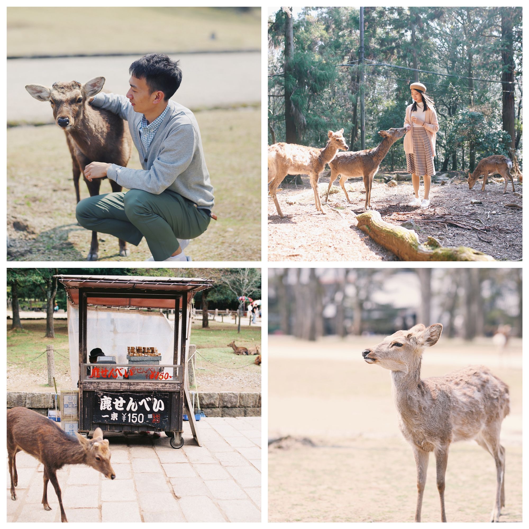 日本亲子游自由行攻略,日本旅游性价比攻略