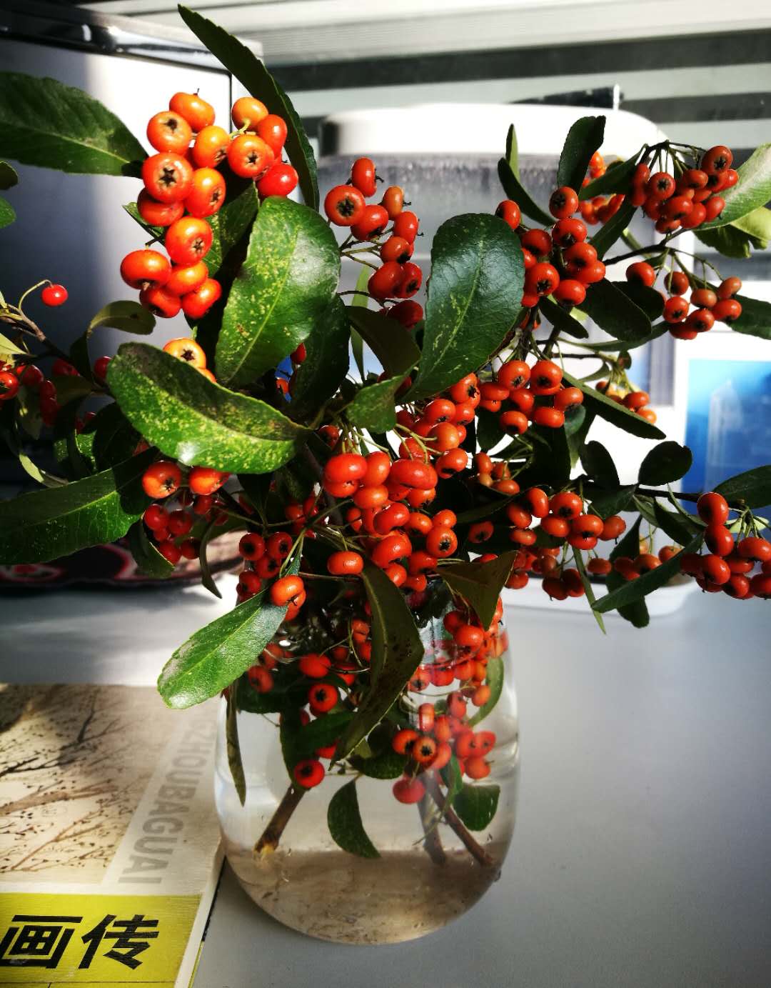 手机摄影作品也可以美不胜收,秋天手机摄影作品欣赏