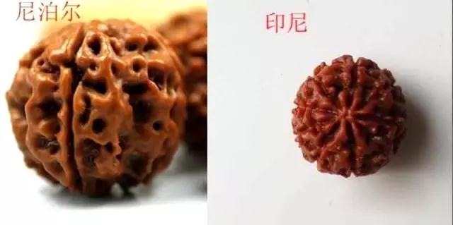 金刚菩提怎么分辨是不是落地红,金刚菩提吊坠识别真假