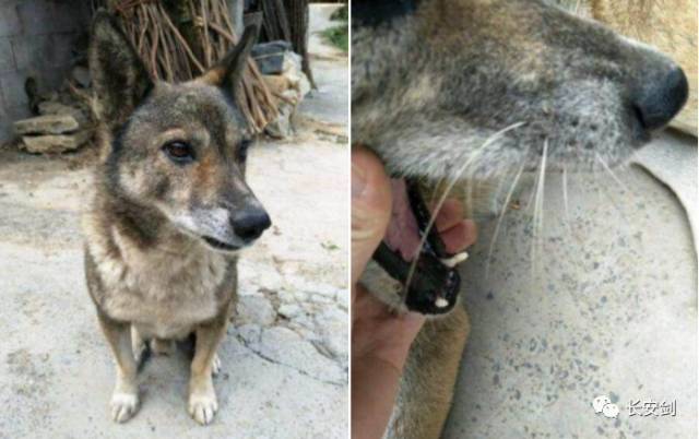 3分钟法治新闻全知道,三分钟法治新闻全知道下载