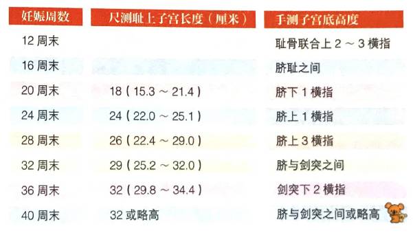 24周宫高22到26周宫高21正常吗,宫高36腹围116宫高40