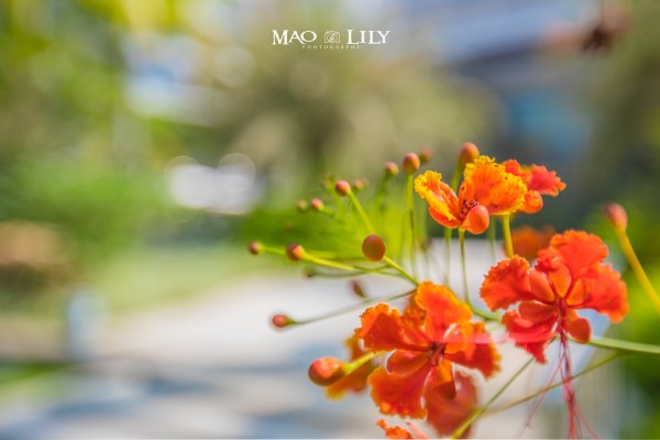 有独立泳池的度假酒店,这家酒店有12层楼