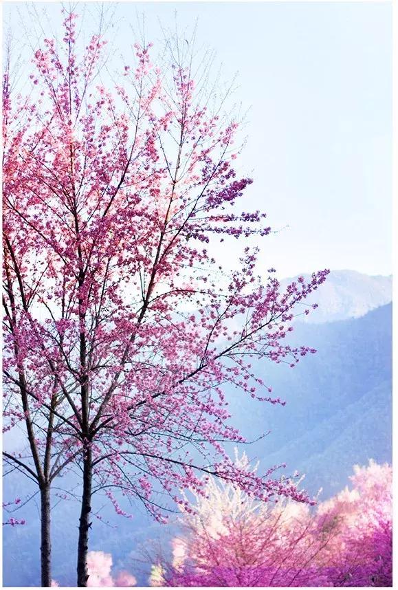 大理没有商业化的旅游景点,大理没被发现的景点