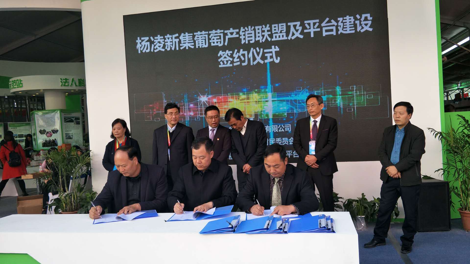 杨凌农高会种植致富项目介绍,杨凌农高会致富故事