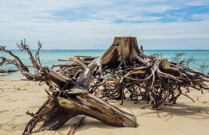 泰国甲米9天自由行 (泰国甲米半岛海上一日游)
